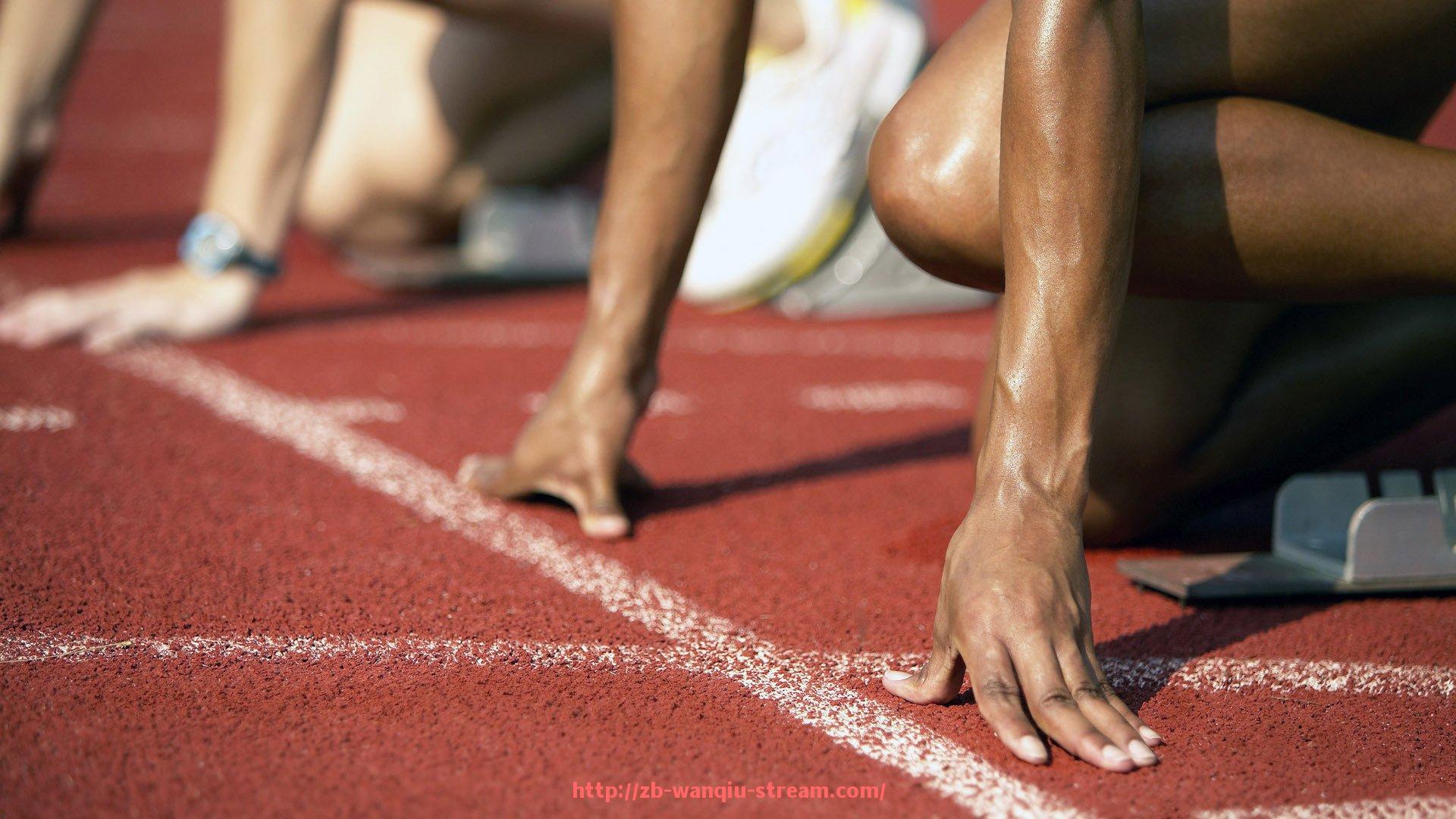 玩球直播-世俱杯赞助资金审计标准体系构建与案例分析